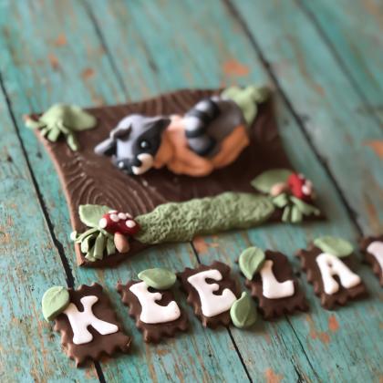 Woodland Baby Shower Cake Topper, Raccoon Baby..